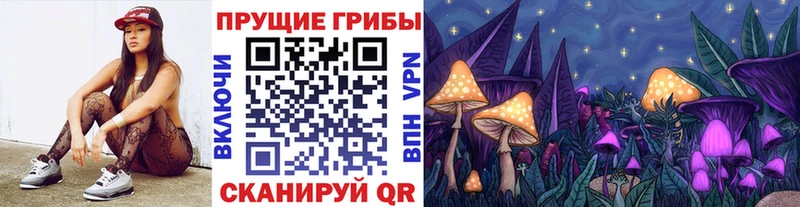 где продают   Туймазы  Псилоцибиновые грибы мицелий 
